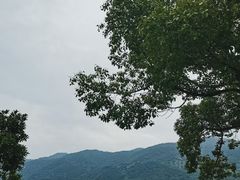 -仙岛湖旅游风景区