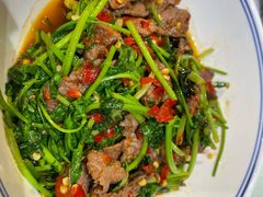 香菜炒牛肉-壹盏灯(惠农店)