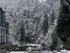-龙苍沟森林公园