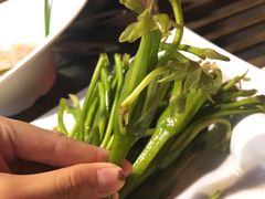 -老诚一锅羊蝎子(黄寺大街店)