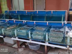 水产区-金渔村海鲜烧烤大排档