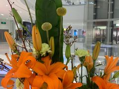 -稻香饭店(IFS国金中心店)