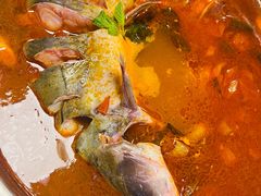 -芦苇荡·酸汤鱼(回龙观店)