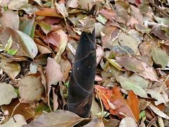 -苏州河梦清园环保主题公园