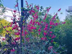 -观宴·品质赣菜(高新大道店)