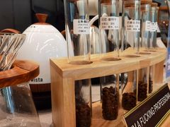 -Infica Coffee