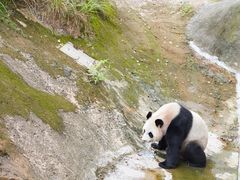 -杭州野生动物世界