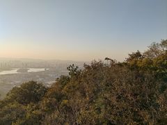 -紫金山山顶公园