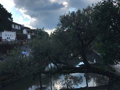 -龙姐私房菜(和顺古镇店)