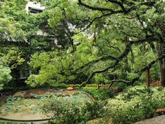 -香港大学