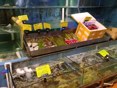 -辉记炭烧海鲜大排档·老字号(福田店)