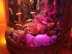 -沈阳海洋探索中心