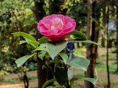 -昆明市金殿名胜区