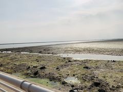 -碧海金沙