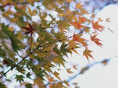 -虎跑公园