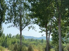 -西部长青自然儿童乐园