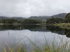 -海南热带雨林国家公园吊罗山景区