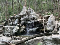 -普洱太阳河森林公园