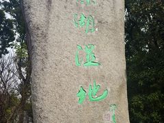 -溱湖国家湿地公园