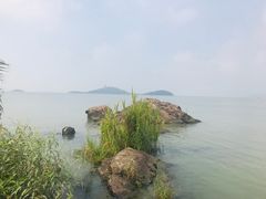 -上海市保健医疗中心