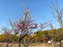 -嘉北郊野公园
