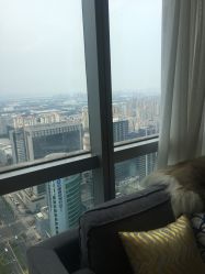 -松和日式美容整骨