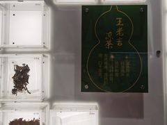 -广东中医药博物馆