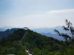 -大岭沟猕猴桃谷风景区