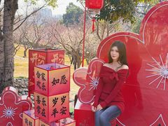 -无锡梅园公园