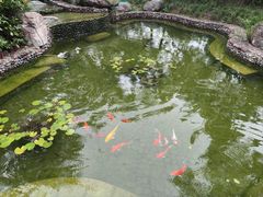 -思念果岭悦温泉