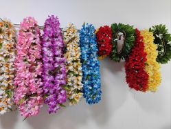 -呼拉汇舞蹈生活馆 Hawaii Hula&Tahiti Dance Studio
