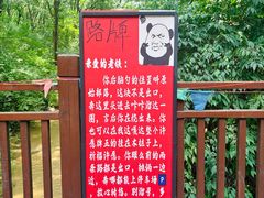 -大青沟风景区