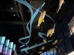 -同济大学四平路校区深海探索馆