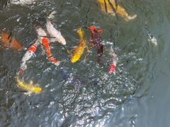 -杭州西湖柳莺里酒店·闻莺厅