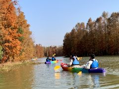-上海海湾国家森林公园