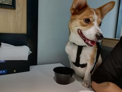 -潮发潮汕牛肉店(龙洞店)