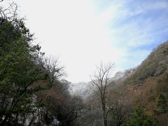 -陕西省红河谷森林公园