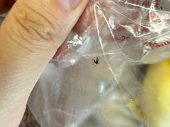 -中关村茶点