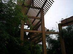 -桤木河湿地公园