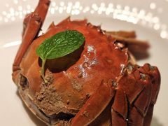 -津菜典藏(天津之眼店)