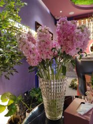 -花隐·美芙炫海菲秀皮肤管理中心