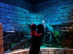 -沈阳海洋探索中心