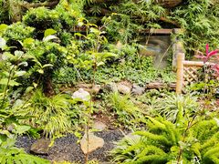 -山壹竹庭院餐厅