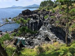 中文大浦海岸柱状节理带-柱状节理带