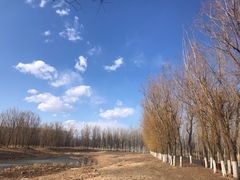 -东郊湿地公园