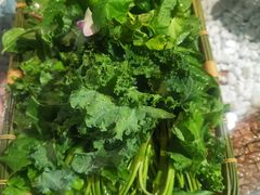 -慢丽江·云南野生菌土鸡锅(付家庄店)