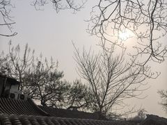 -糖房咖啡(南锣鼓巷店)