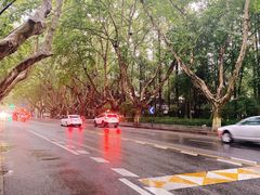 -也枫·小黄楼(南山路旗舰店)