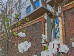 -北京中医药大学东直门医院(通州院区)