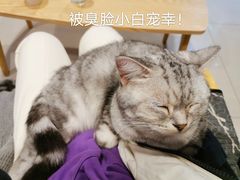 -平行世界·猫咖(首经贸店)